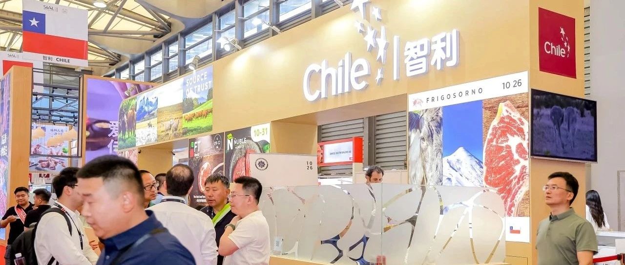 2025 速凍食品行業前瞻：市場擴張與企業轉型、新貴競逐全景洞察