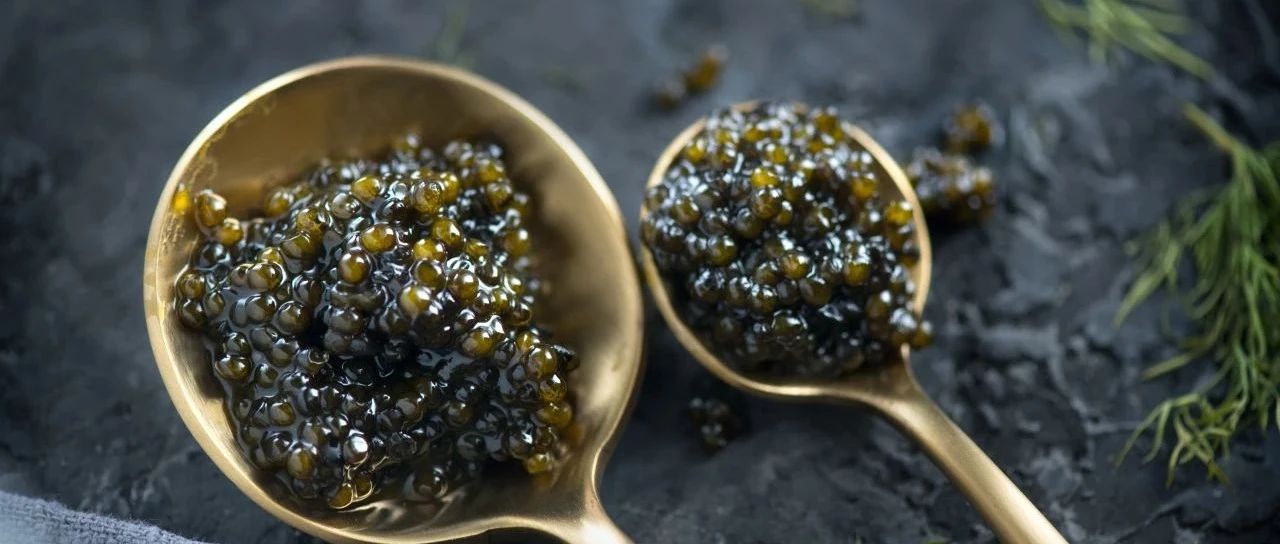 從生鮮、健康飲品到方便食品、調味品，一站式選購不容錯過｜上新品了！西雅