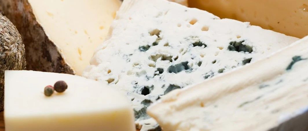 在社媒越來越火的奶酪，未來還能走多遠(yuǎn)